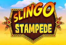 Slingo Stampede